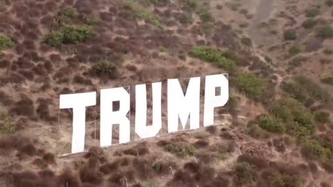 The 401 Trump Sign