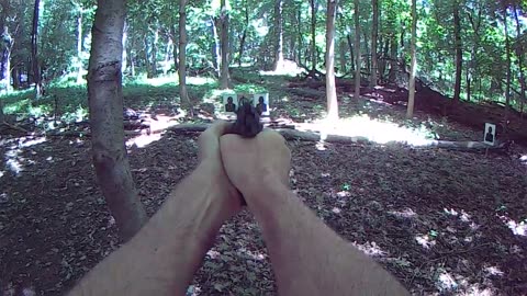 Beretta M9 22 lr In The Woods
