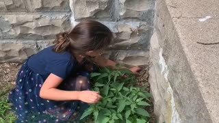 Girl Attempting to Help Frog Backfires