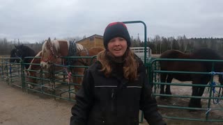 Sally Has Some Energy!! DRAFT HORSES Pull An Excavator Track!