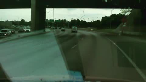 Taking a Nature Walk on a Busy Highway