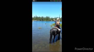 Horse ride Fail