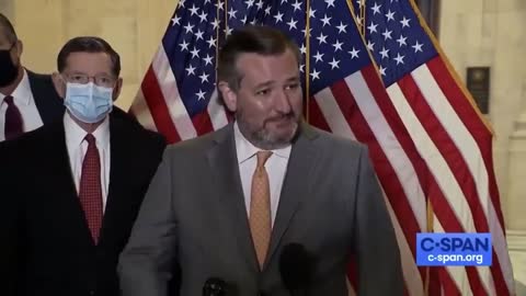 Ted Cruz Tells Reporter That ‘He’s Welcome To Step Away’ After Refusing To Wear a Mask