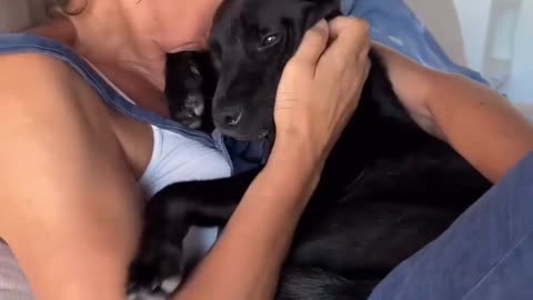 A poor dog rescued