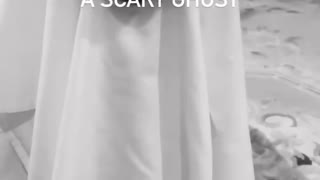Funny dog dresses up as a scary ghost