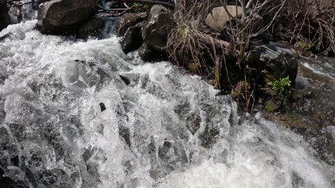 Stacy Creek Cold Plunge - Idaho Adventure Company