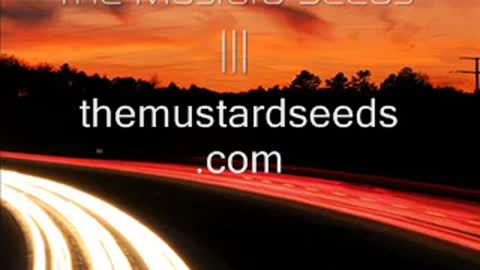 The Mustard Seeds - Hunting With Cheney