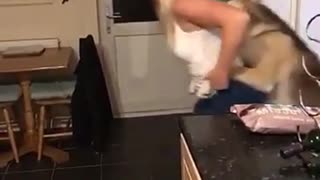 Blonde girl walks through kitchen with her dog holding onto her back