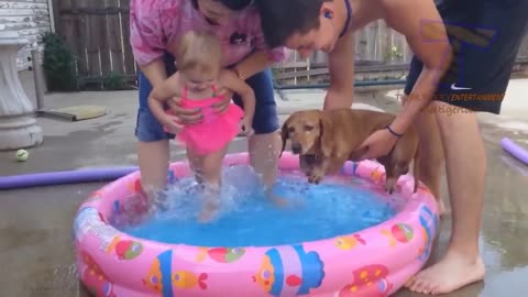 FUN CHALLENGE_ Try NOT to laugh - Funny _ cute dogs and kids