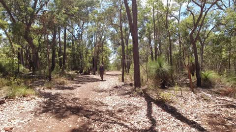 Summer Hike On The Cockatoo Circuit