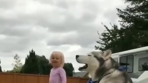 Baby & Dog Fun