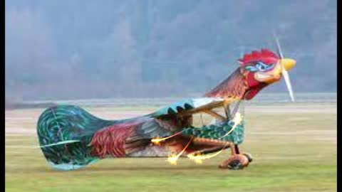 The Rooster Plane : This Actually Flies. Strange But TRUE