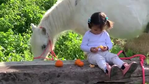 The cutest little toddler horse rider and her pony