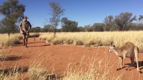 Morning Exercise with Charlie the Kangaroo