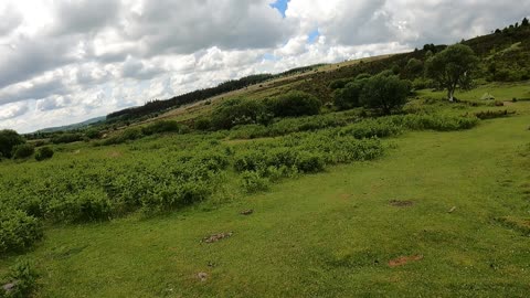 Beautiful landscape and scenary. Dartmoor. June 2022