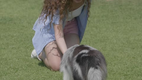 girl having fun training dog
