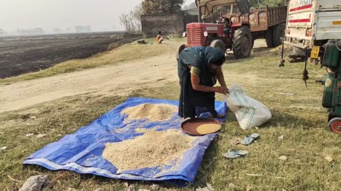 Ancient Village Life in India | Village Women Morning Routine in Fog | Village Traditional Food