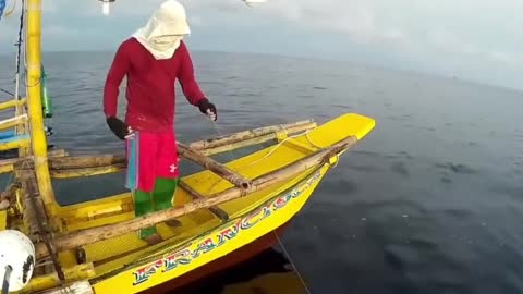 Giant squid, about the size of an adult, bites in deep sea fishing in Peru