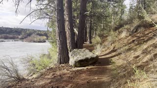 Transition Section Along Beautiful Deschutes River Trail – Central Oregon – 4K