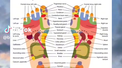 WHERE DO U HAVE ACHES? THE FOOT REFLEXOLOGY CHART