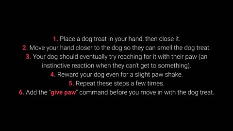 TOP 10 Essential Commands Every Dog Should Know!!