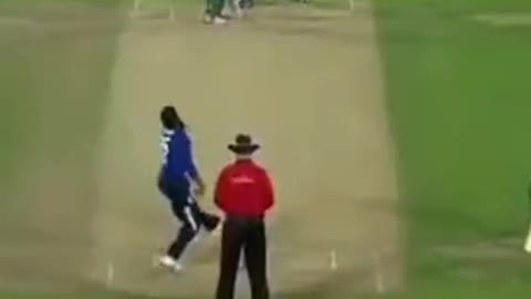 fans-video cricket lovers-video #cricket #cricketlover