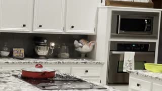 Hailstorm Bursts through Kitchen Skylight