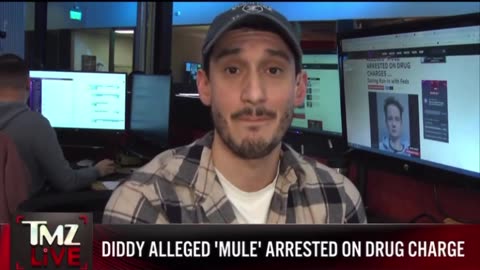 Diddy's alleged "mule" was arrested on drug charges after the feds intercepted plane