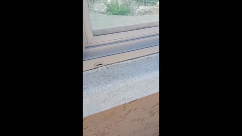 Sparkling Clean Windows Gilbert Arizona