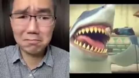 Funny shark expression