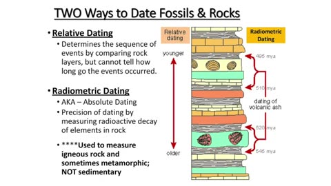 Matt Finn: Speed Dating with Fossils | Thunderbolts