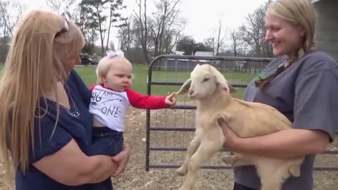 Cute Baby Girl Mimics Little Goat Perfectly
