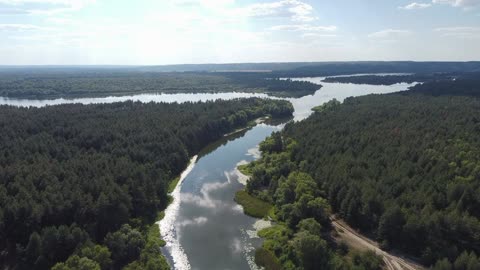 FOREST WITH RIVER