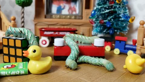 Insect videos for Kids | Caterpillars play with Christmas Toys