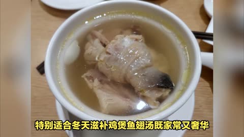 Chicken and Shark's Fin Soup
