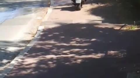 Guy driving moped motorcycle on sidewalk runs into pole