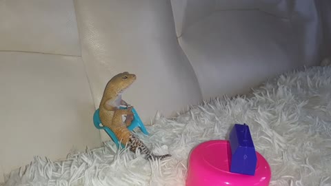 enchanting lizard named banana watching tv