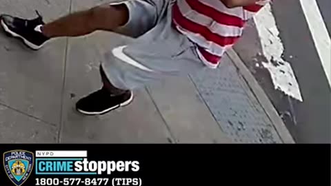 NYPD Seeks Suspect After Daytime Shooting in Queens #Shorts