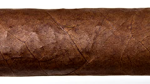 La Palina El Diario Gordo Cigar Review