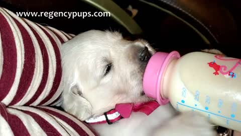 "Sissy" Bottle Feeding