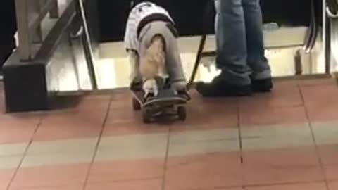 Man walks his dog riding on a skateboard in subway station