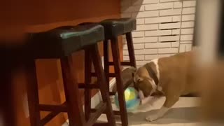 Valley likes Playing with Balls 2