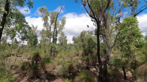 Day one of three bushwalking preview