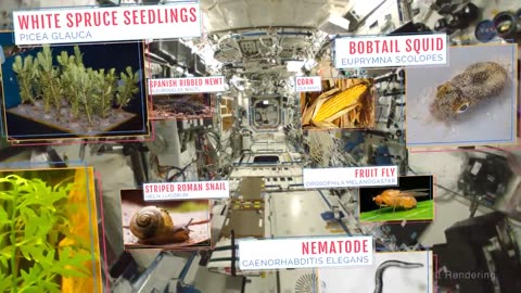 Science at Nasa - NASA ScienceCasts Teeming Life on the ISS