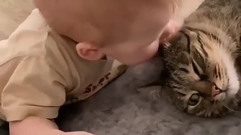 Cat & baby love