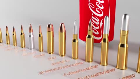 Ammunition: Size Comparison