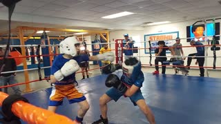 Joey boxing Nick 4/7/22