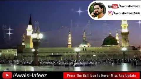 Zulfiqar Ali Hussaini - Dar e Nabi Per