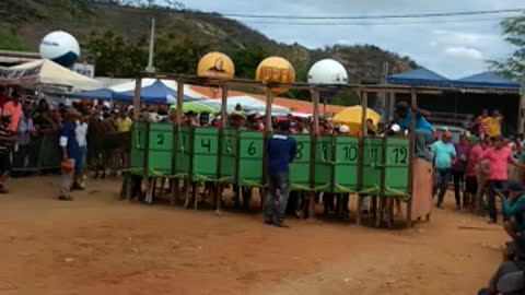 donkey race in Brazil 🐎