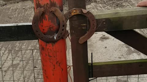 How to make a lock for your gate with Horse Shoes